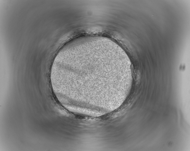 X0000093581153200711121054