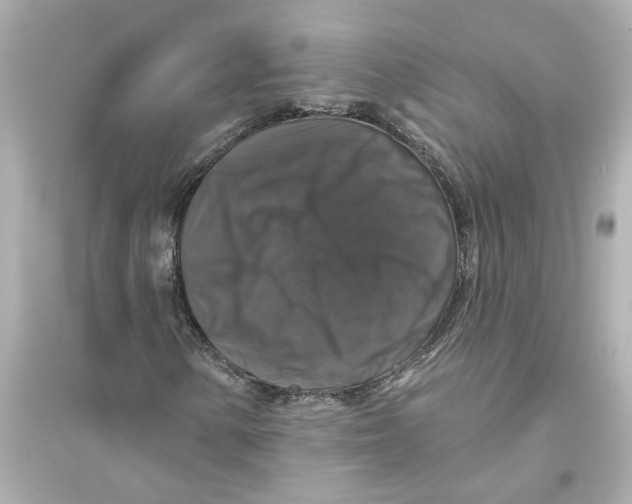 X0000093581154200711121054