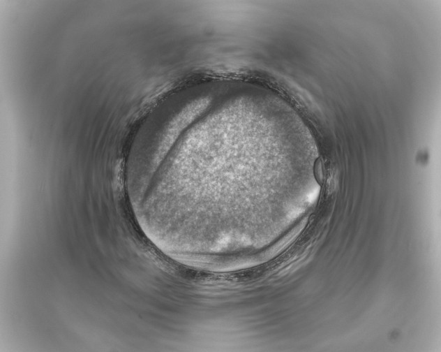 X0000093581156200711121054