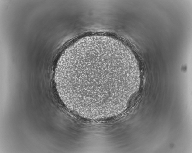 X0000093581157200711121054