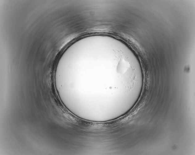 X0000093581162200711121054