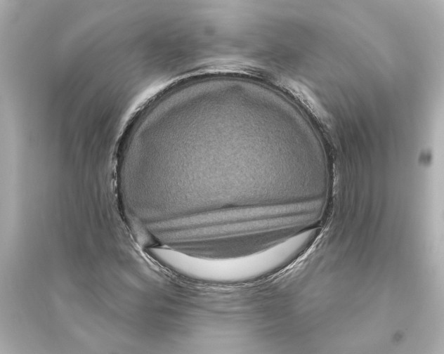 X0000093581164200711121054