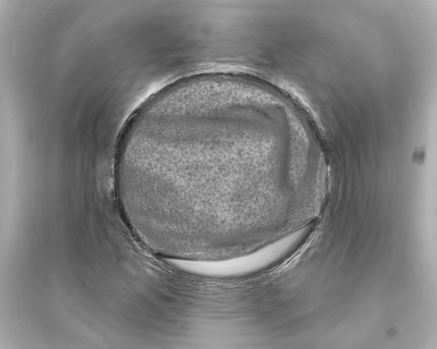 X0000093581165200711121054