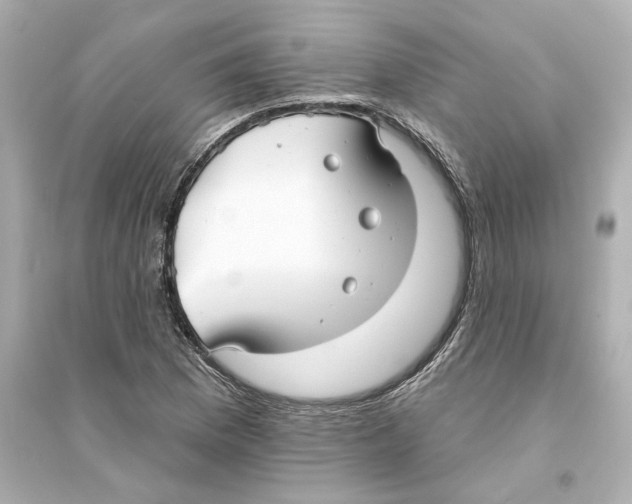 X0000093581169200711121054