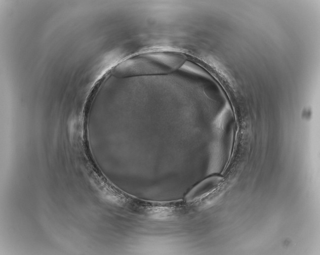 X0000093581173200711121054