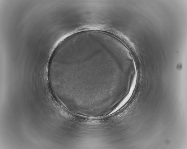 X0000093581174200711121054