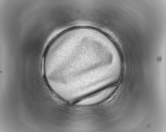 X0000093581175200711121054