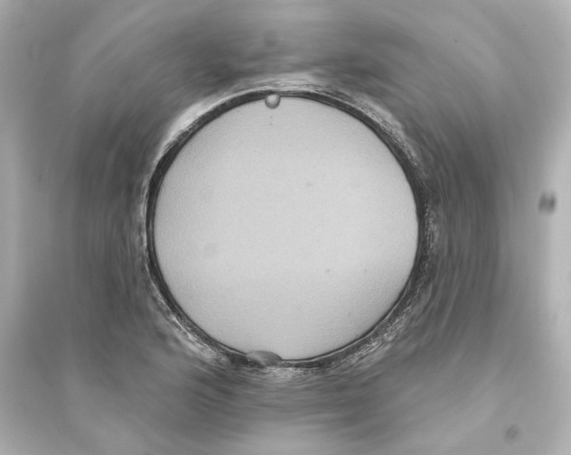 X0000093581176200711121054