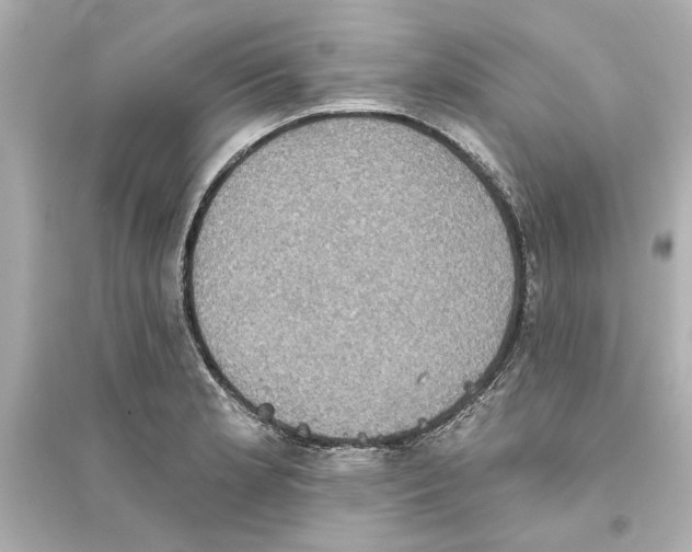 X0000093581181200711121053