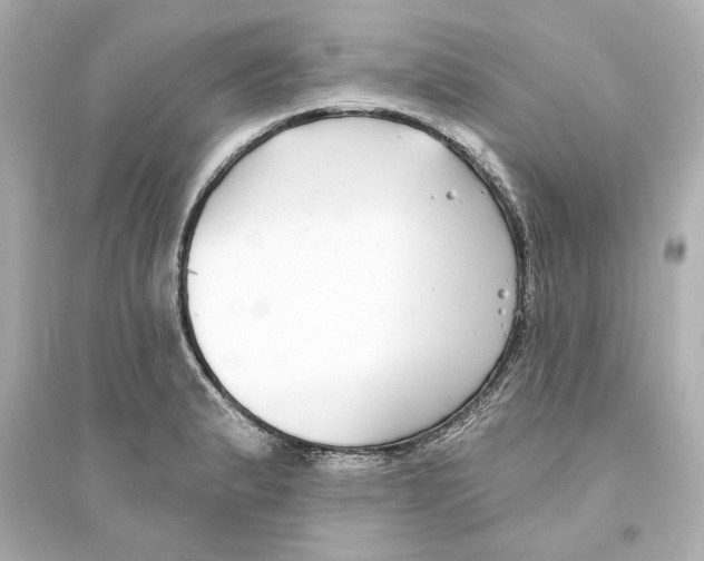 X0000093581183200711121053