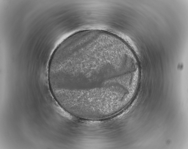 X0000093581184200711121053