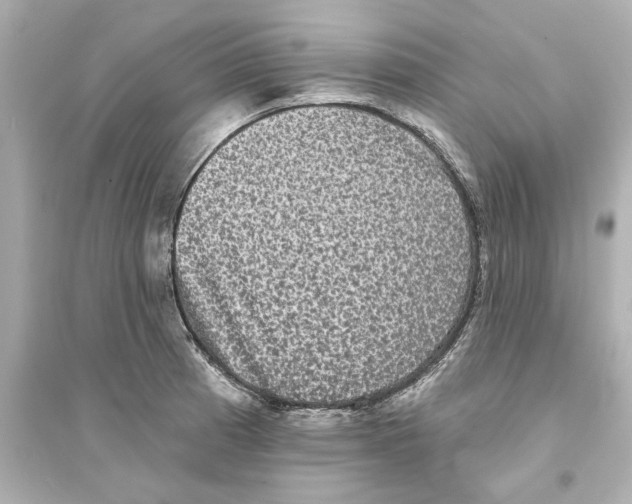 X0000093581185200711121053