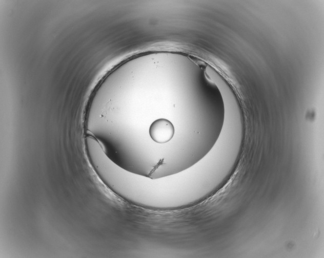 X0000093581192200711121053