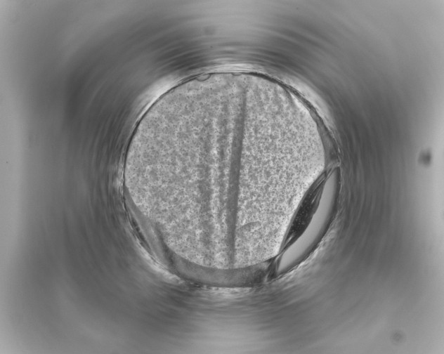 X0000093581193200711121053