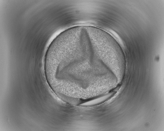 X0000093581196200711121053