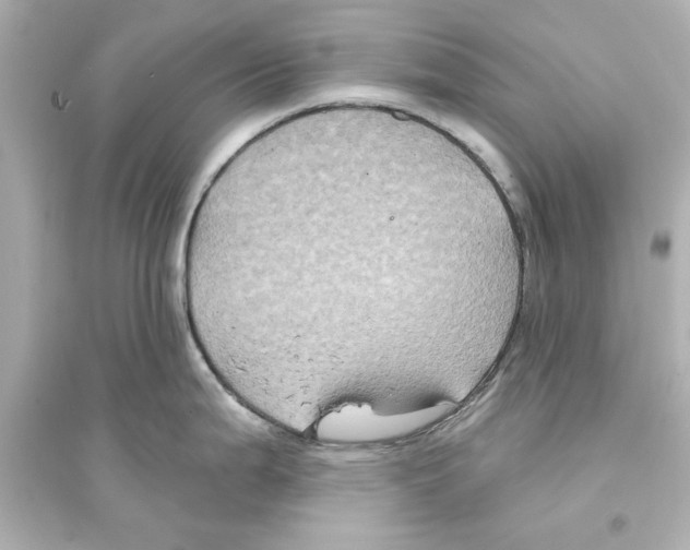 X0000093581199200711121053