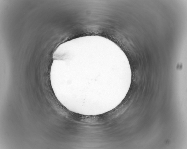 X0000093581201200711121053