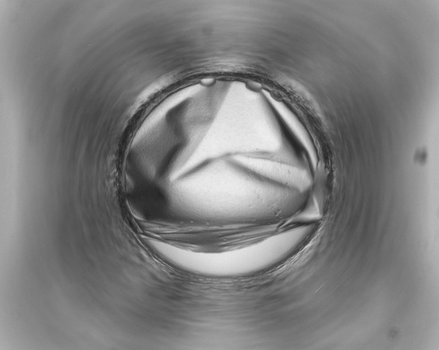 X0000093581210200711121053