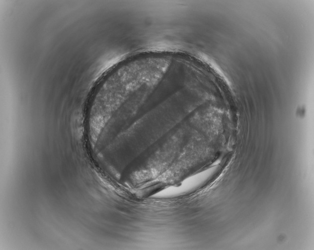 X0000093581213200711121053