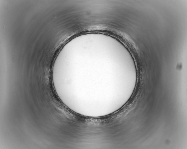 X0000093581217200711121053