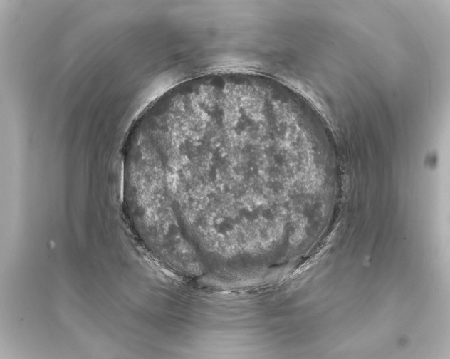 X0000093581219200711121053