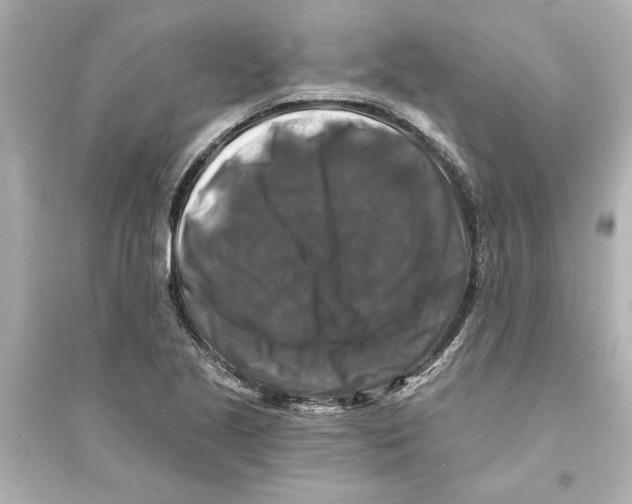 X0000093581221200711121053