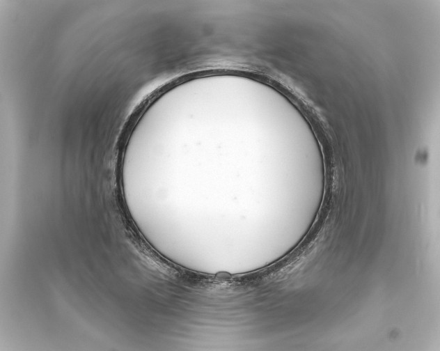 X0000093581222200711121053