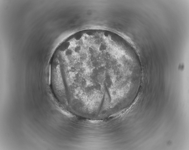 X0000093581223200711121053