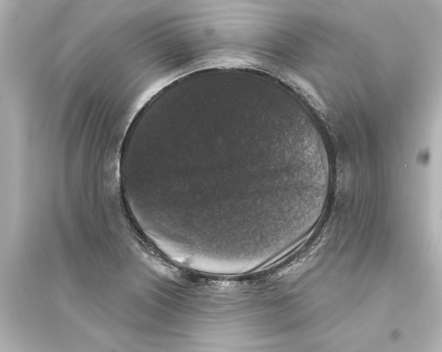 X0000093581226200711121053