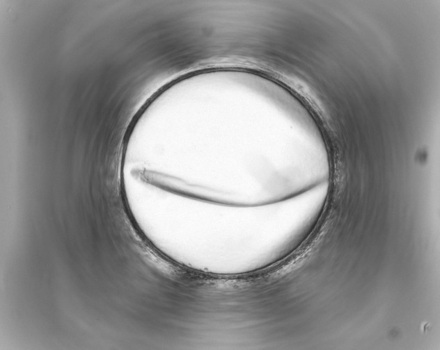 X0000093581228200711121053