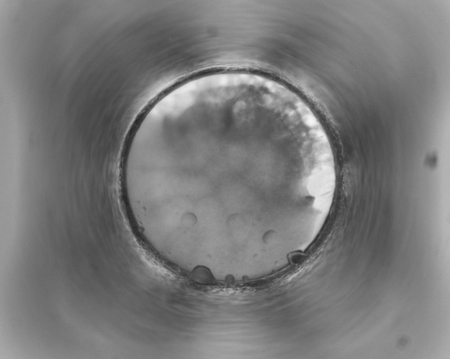 X0000093581229200711121053