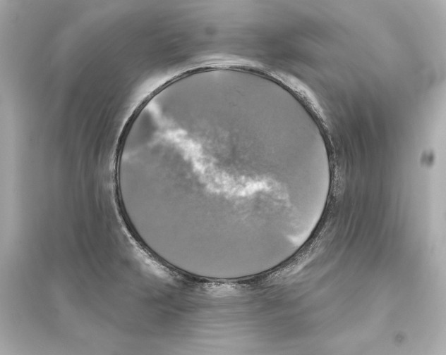 X0000093581231200711121053