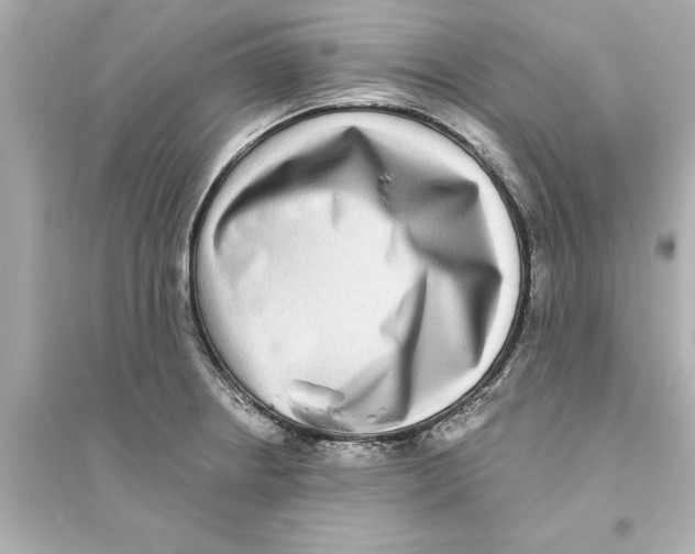 X0000093581234200711121053