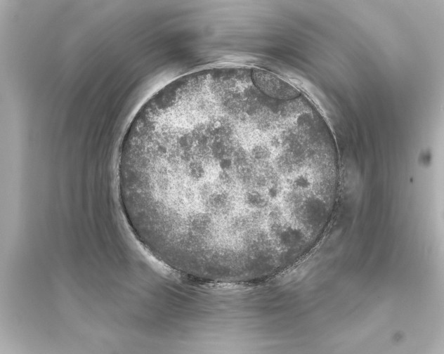 X0000093581235200711121053