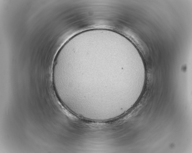 X0000093581236200711121053