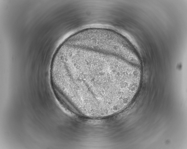 X0000093581237200711121053