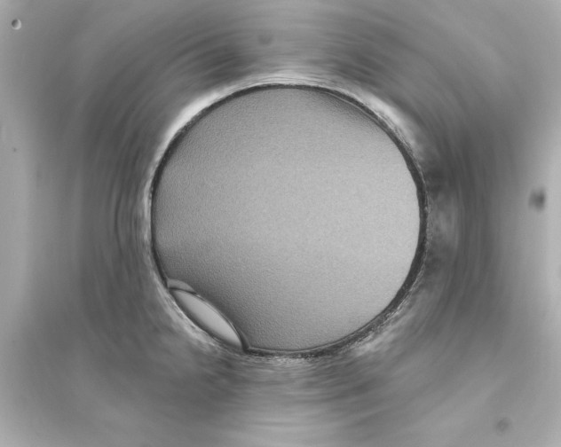 X0000093581238200711121053