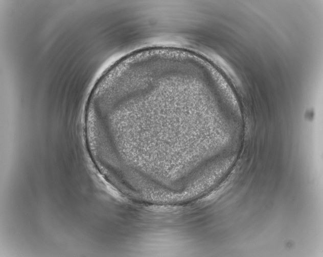 X0000093581240200711121053