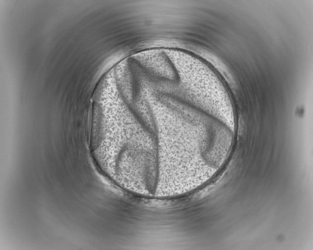 X0000093581241200711121053