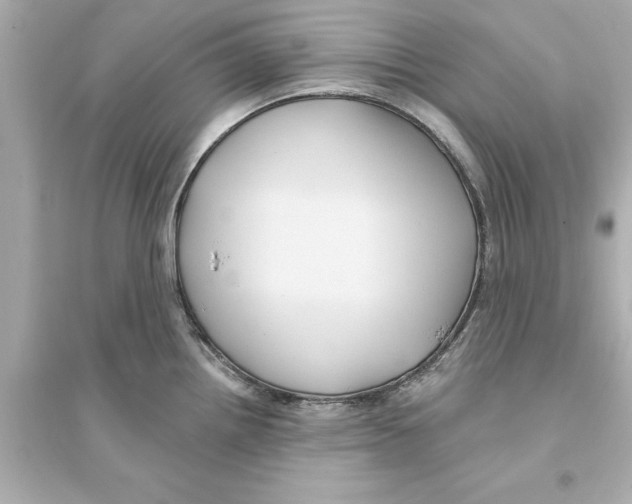 X0000093581242200711121053