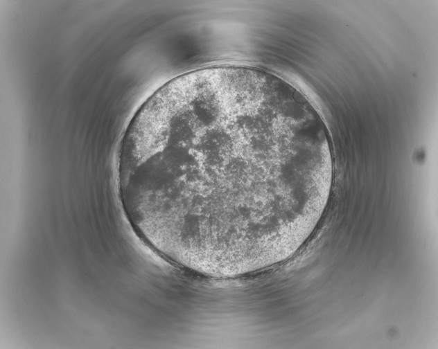 X0000093581243200711121053