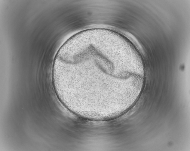 X0000093581244200711121053