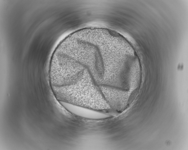 X0000093581248200711121053