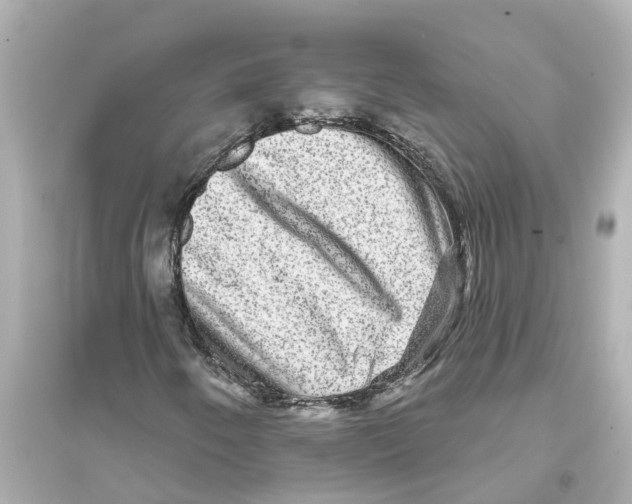 X0000093581250200711121052