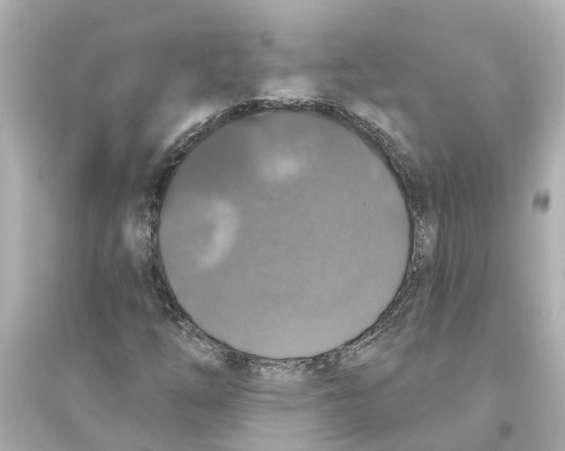 X0000093581254200711121052