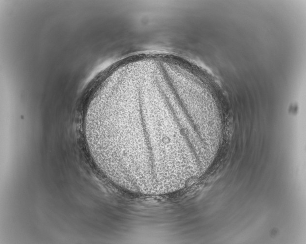 X0000093581255200711121052