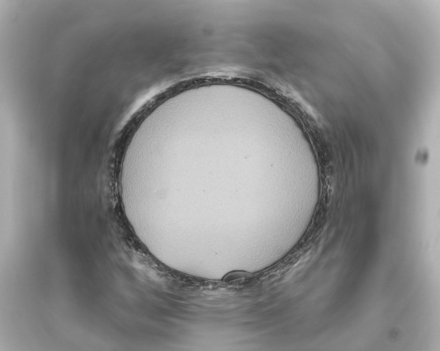 X0000093581256200711121052