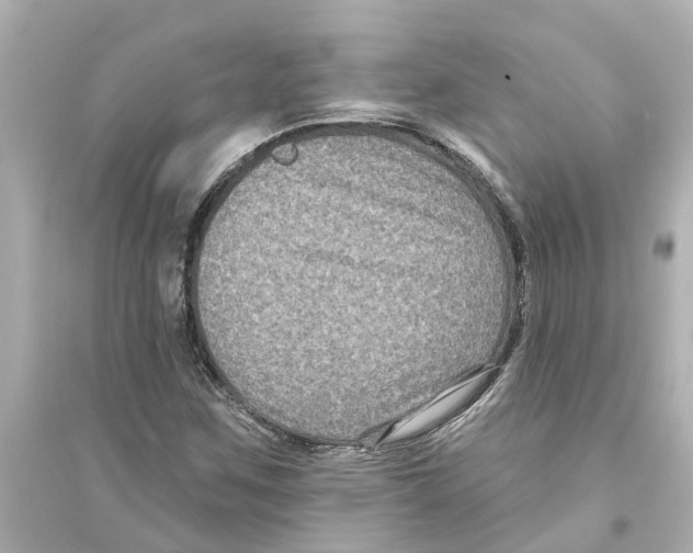 X0000093581259200711121052