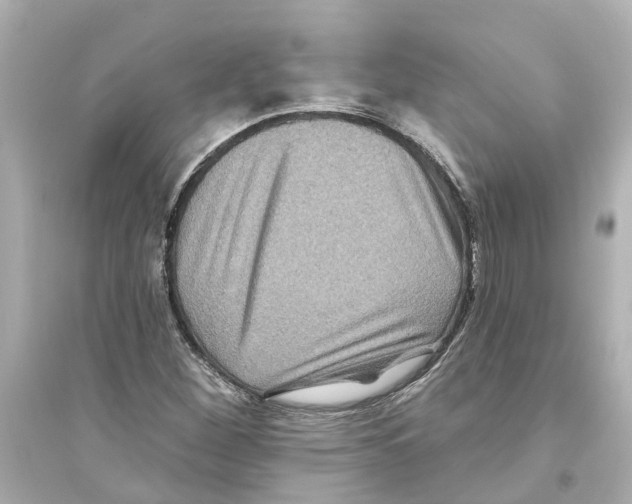 X0000093581260200711121052