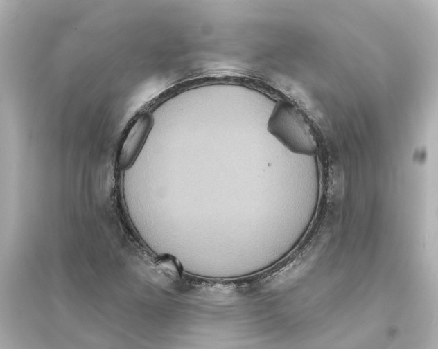 X0000093581261200711121052